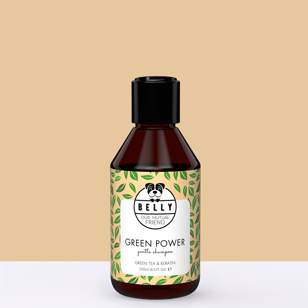 Green Tea Shampoo