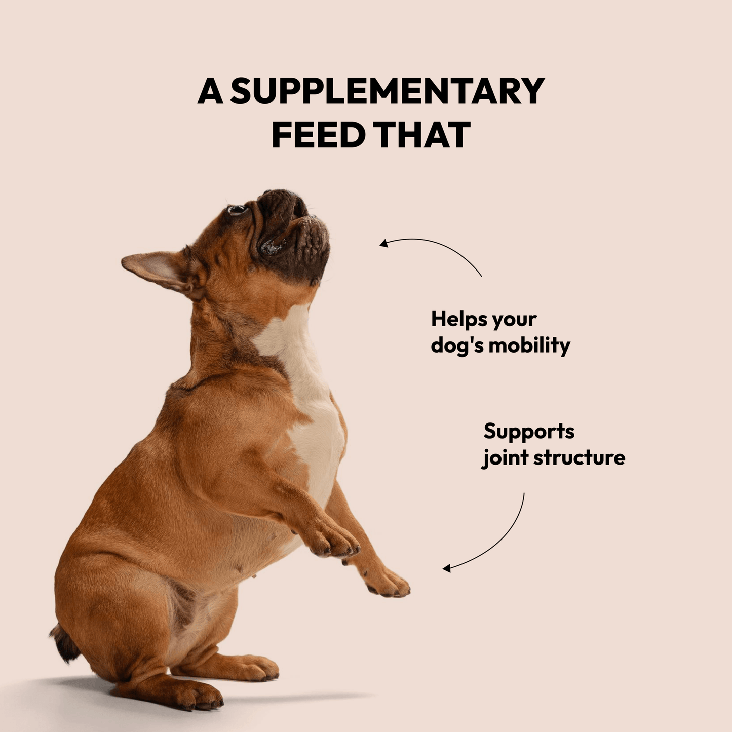 Strong Joints & Bones Chews Benefits