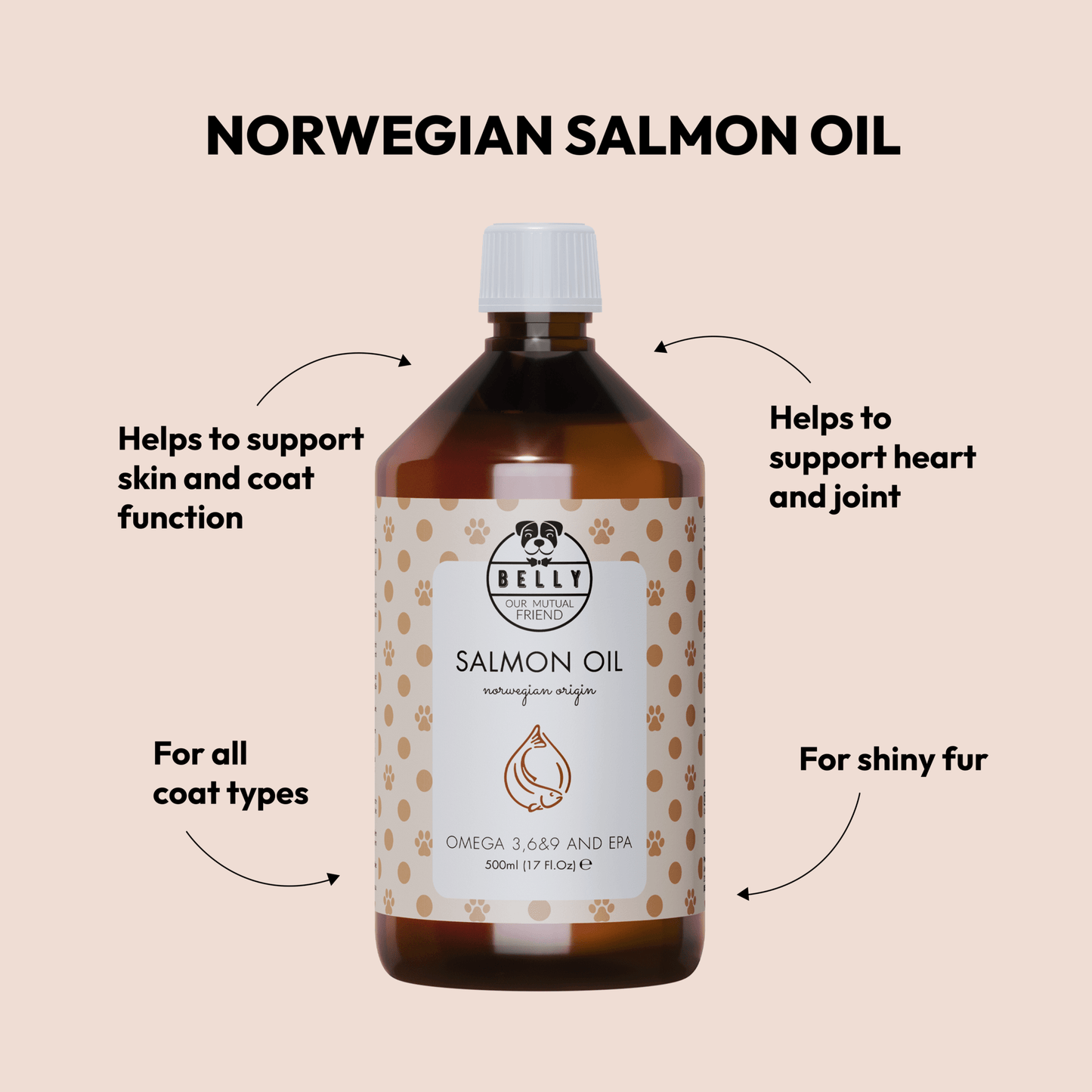Salmon Oil Supplement for Dogs Benefits