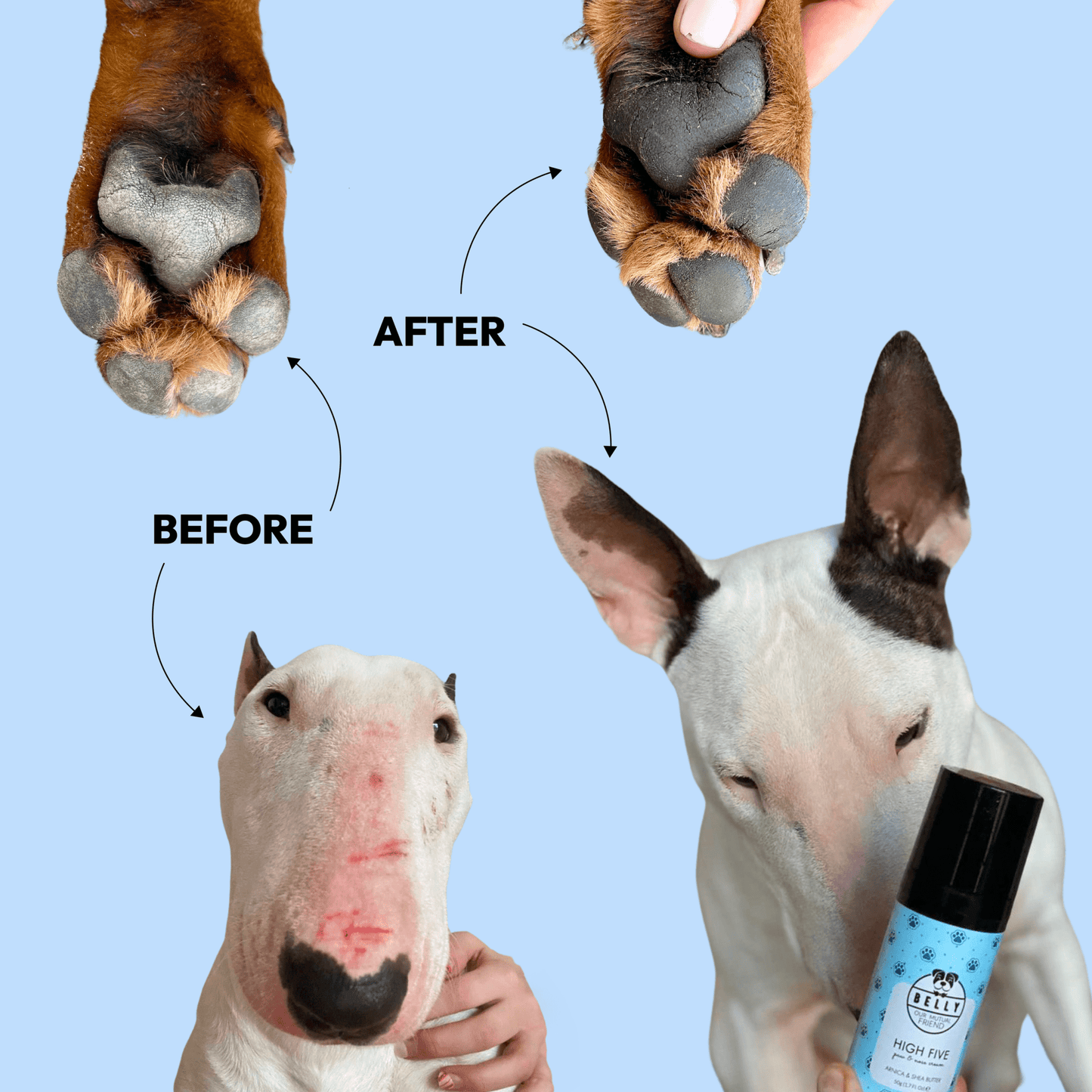 Paw & Nose Cream