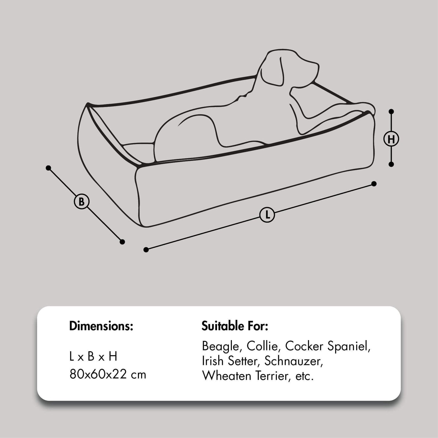 Elegant Dog bed