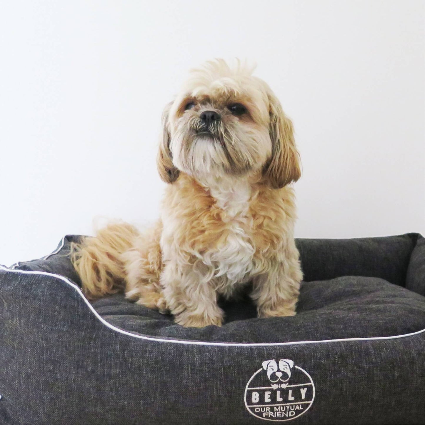 Elegant Dog bed