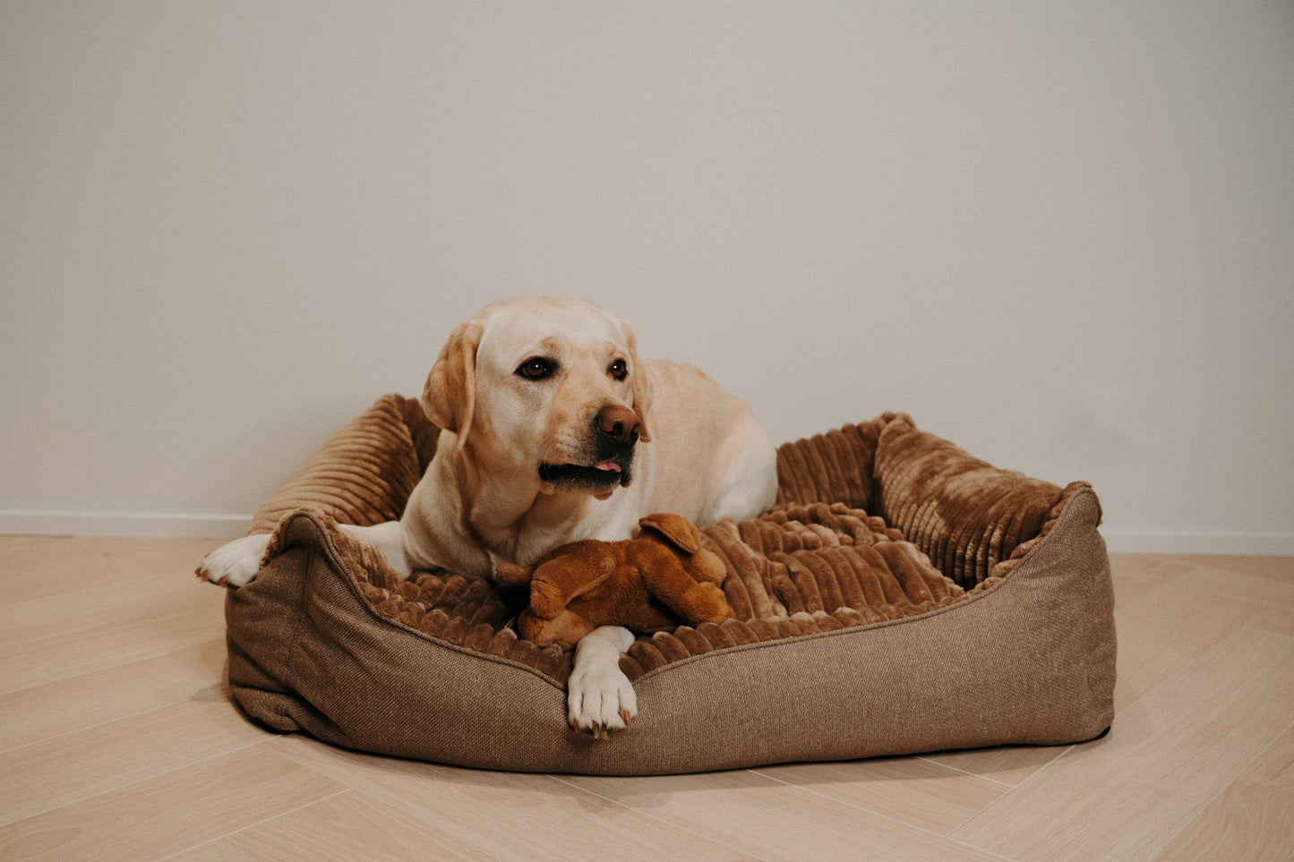 Caline dog bed - Douce line