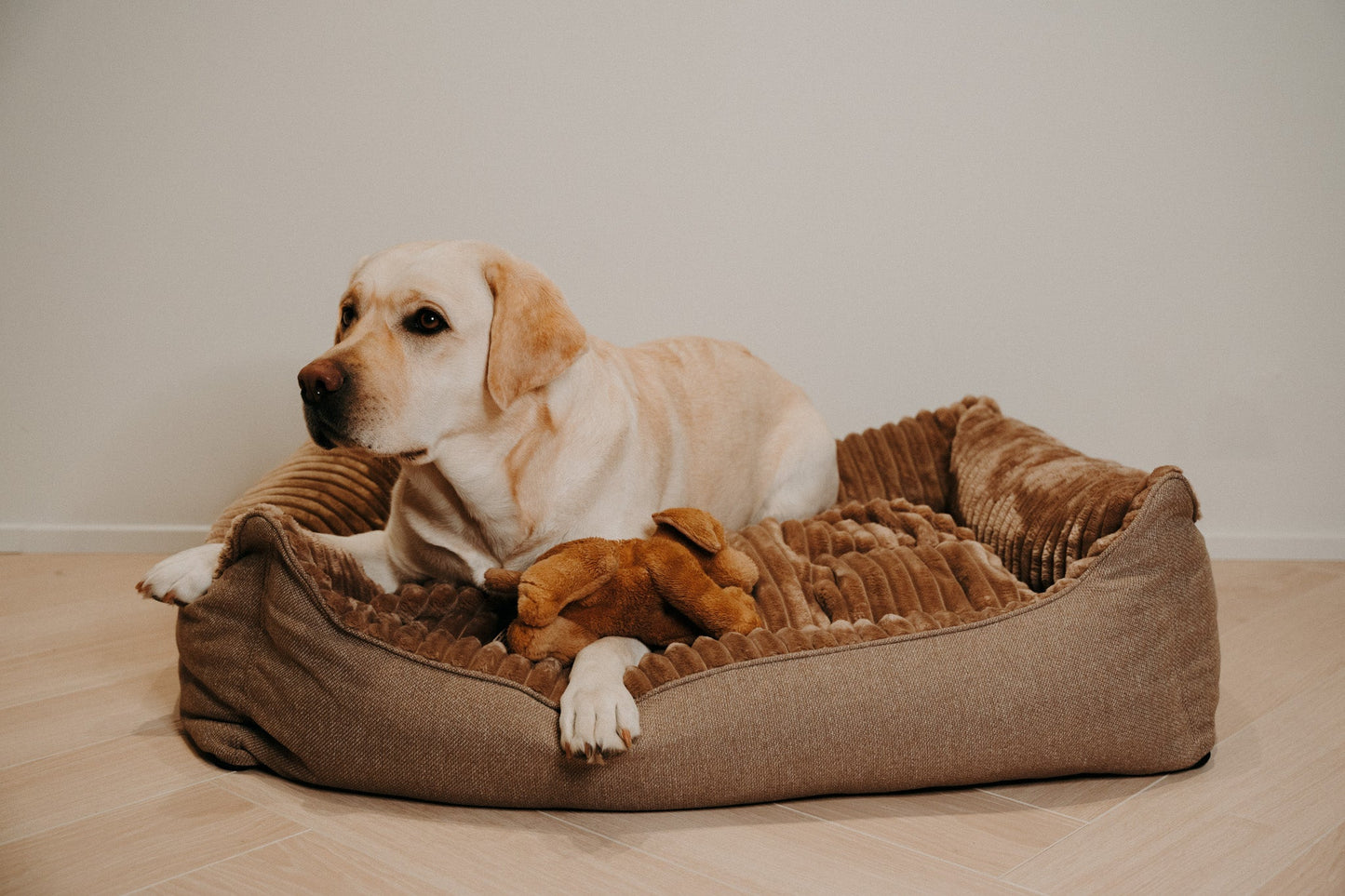Caline dog bed - Douce line