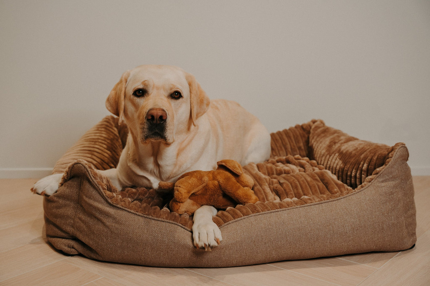 Caline dog bed - Douce line