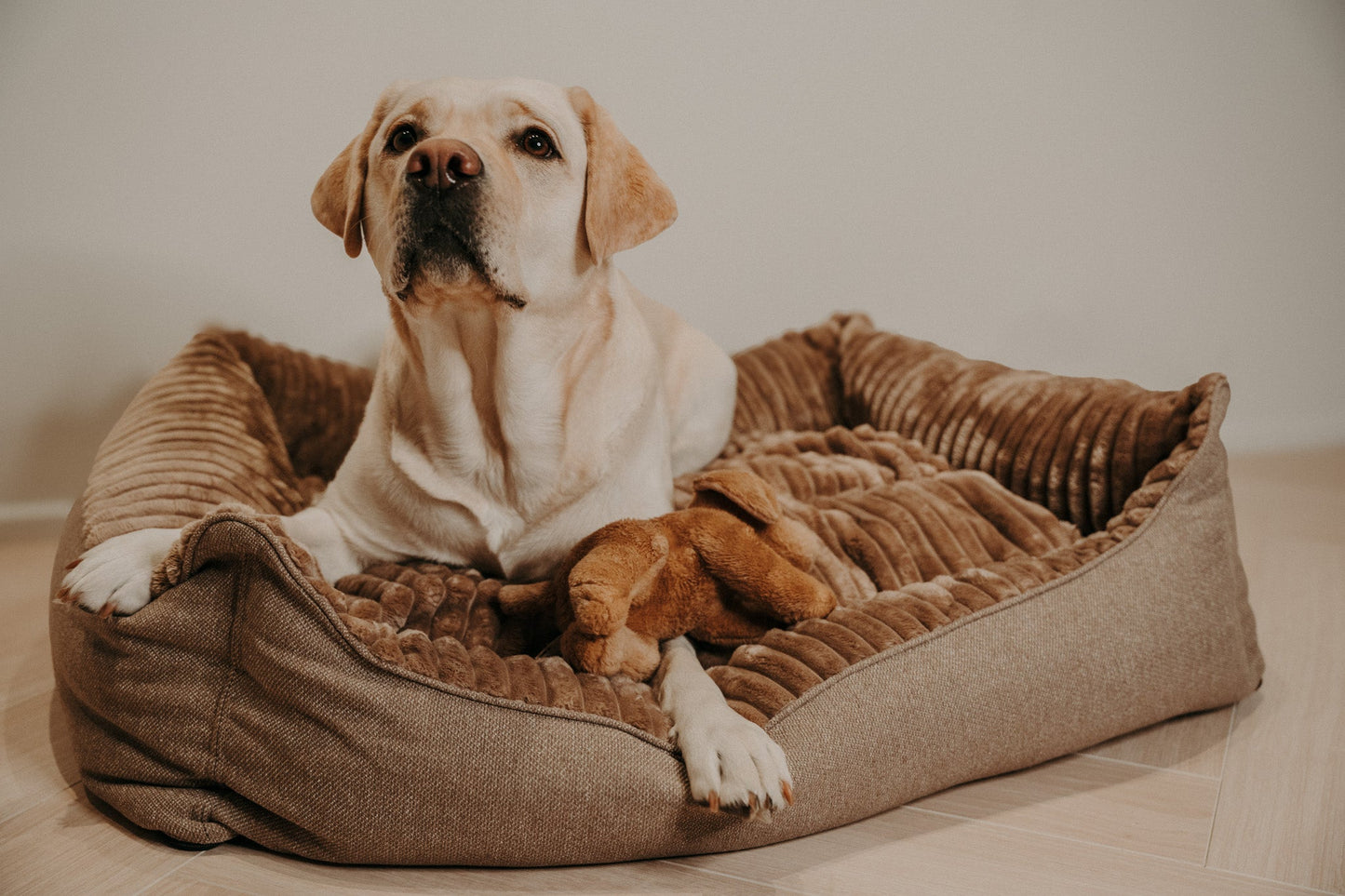 Caline dog bed - Douce line