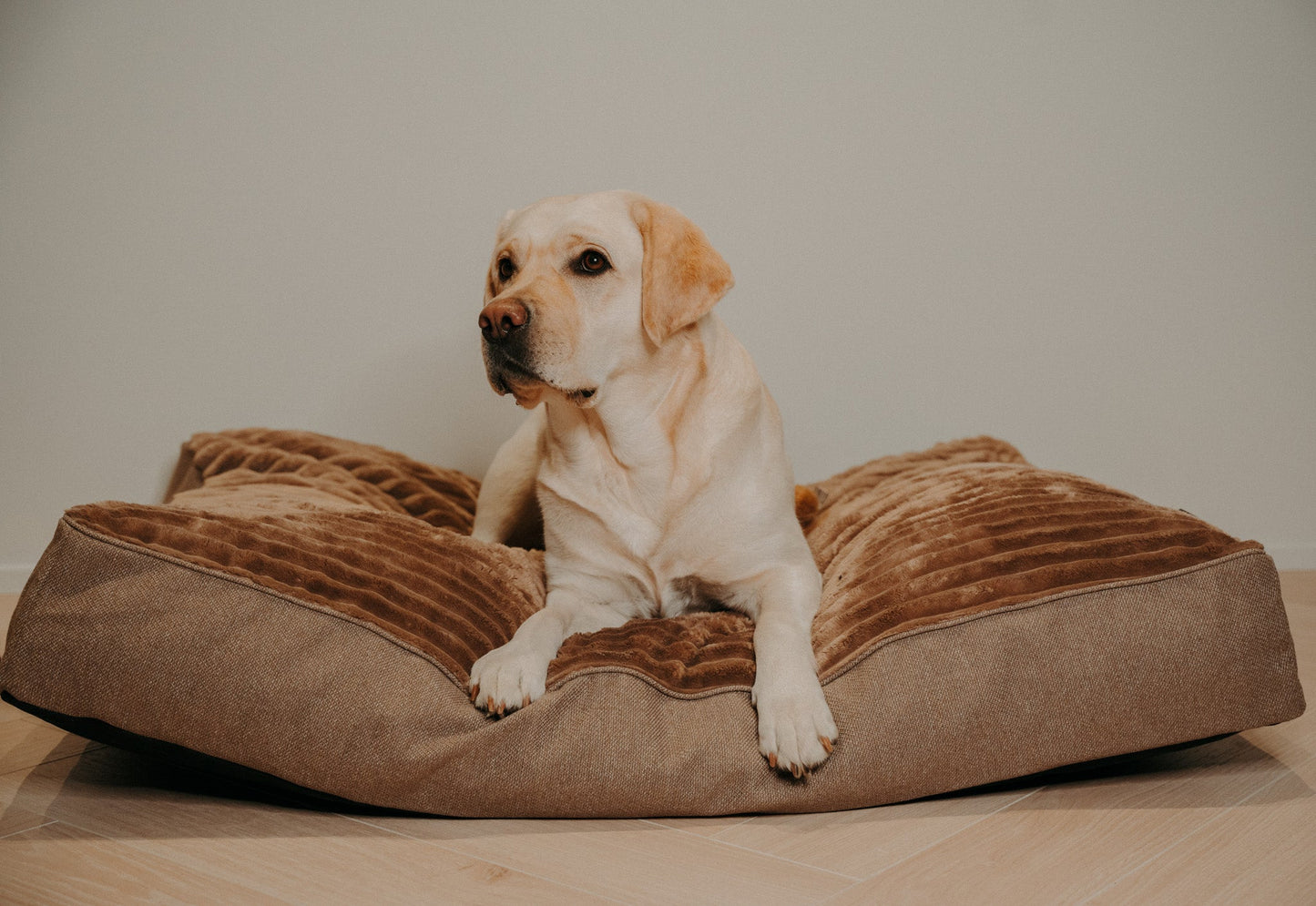 Douce Dog Cushion - Douce line