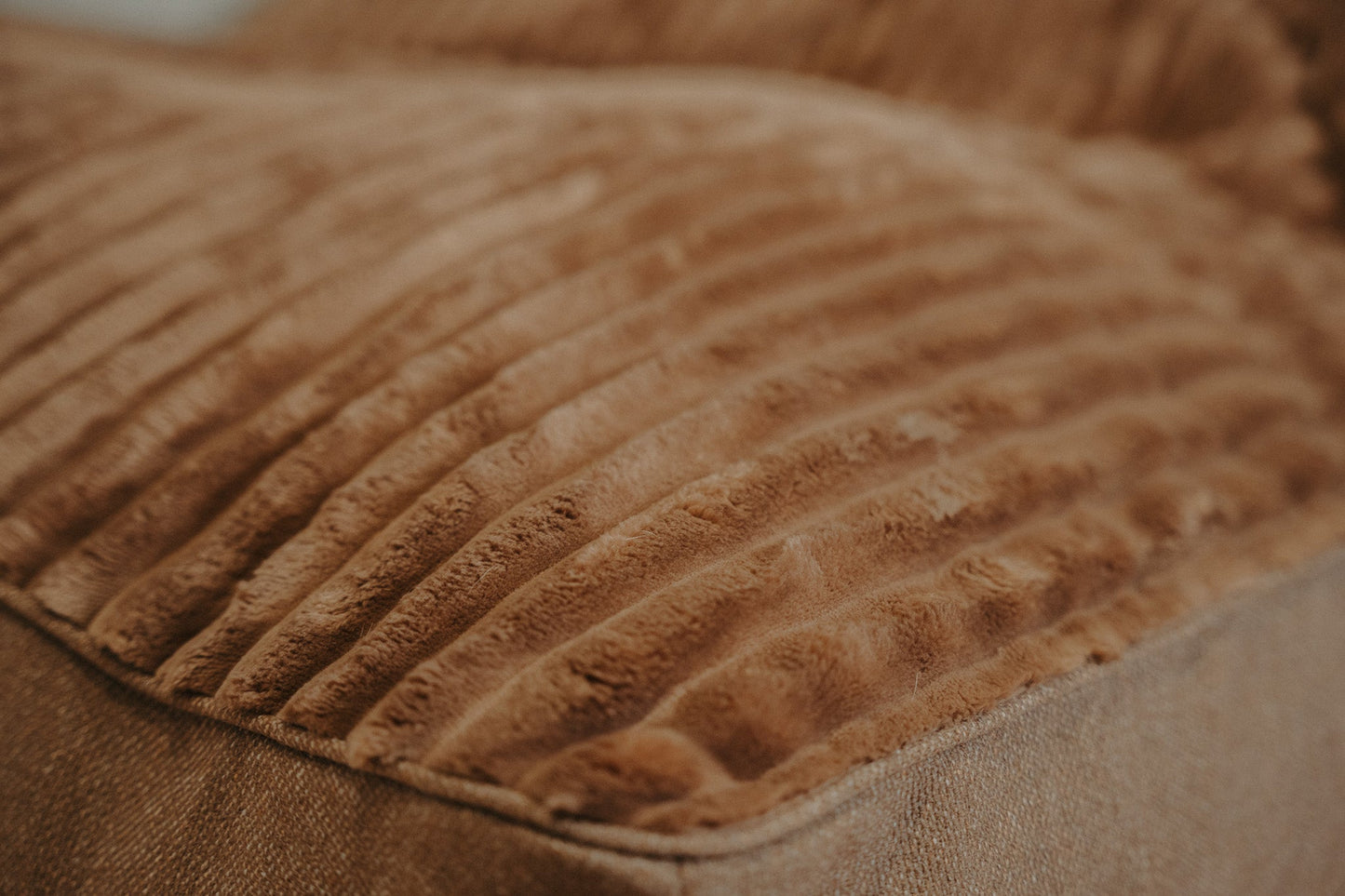 Douce Dog Cushion - Douce line