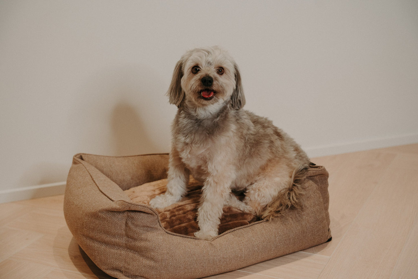 Douce Dog Bed - Douce line