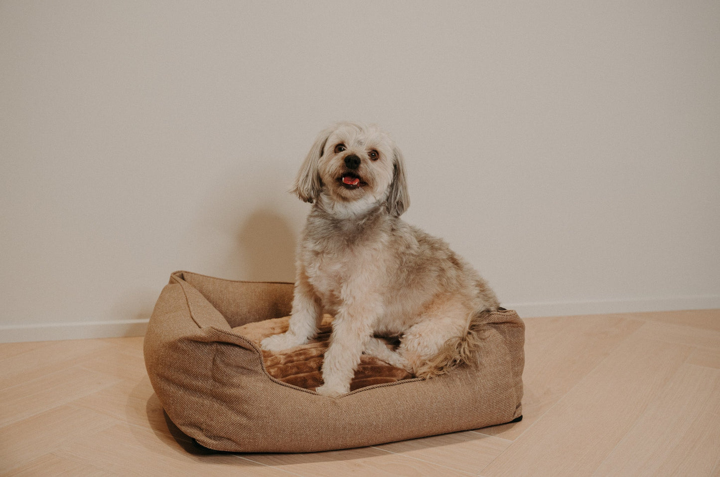 Douce Dog Bed - Douce line