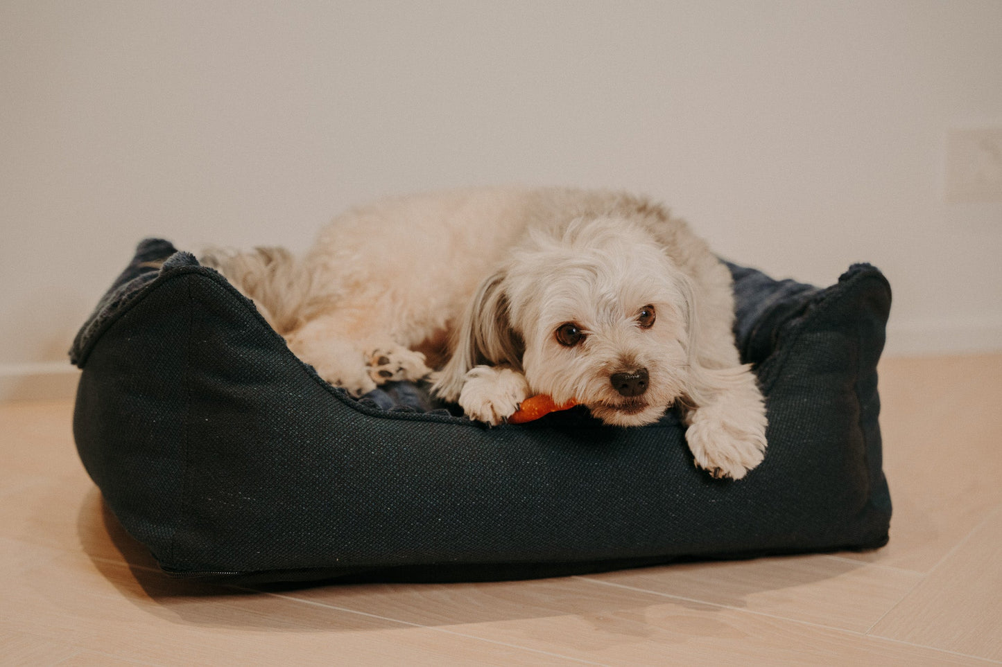 Caline dog bed - Douce line