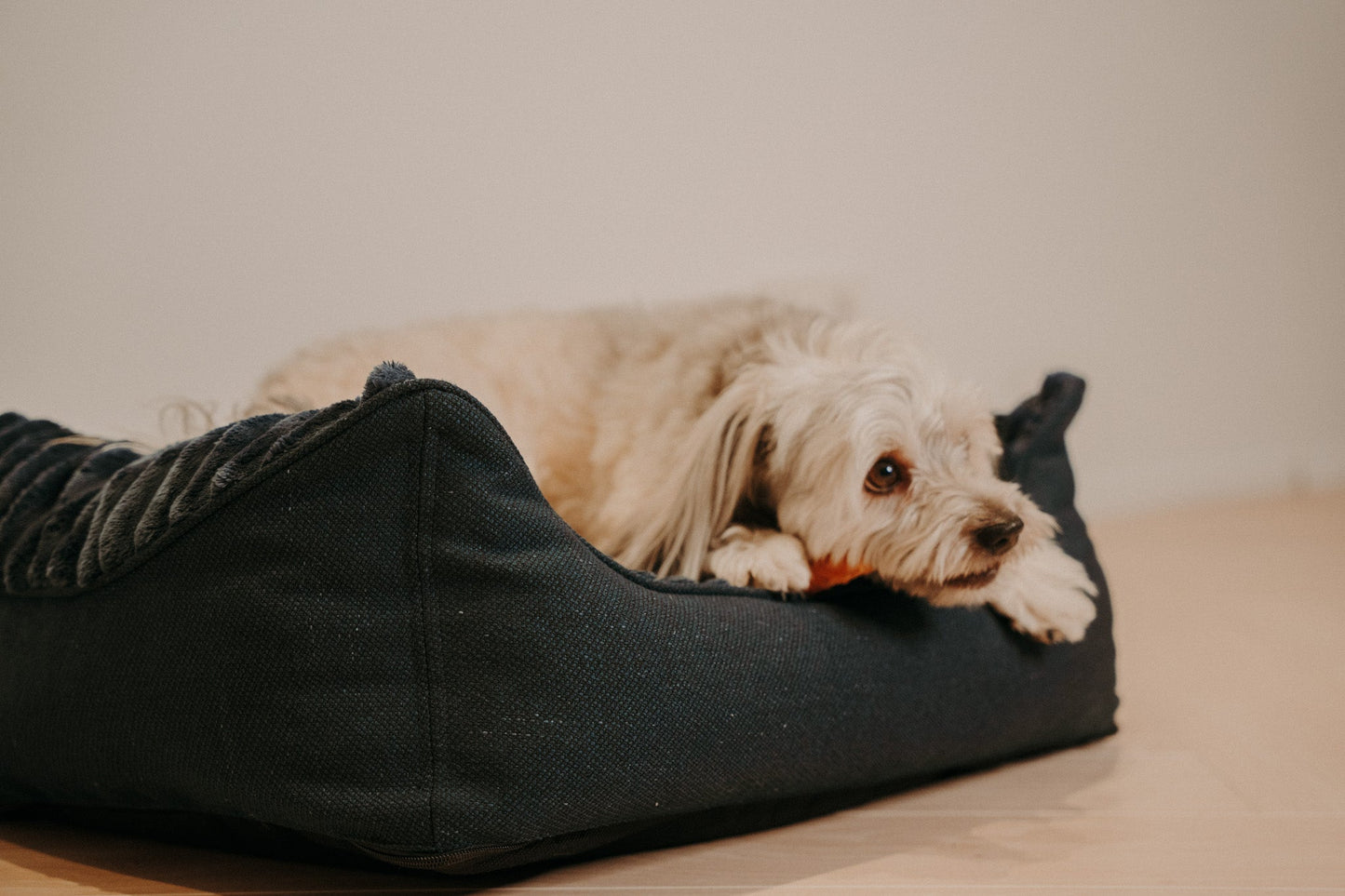 Caline dog bed - Douce line
