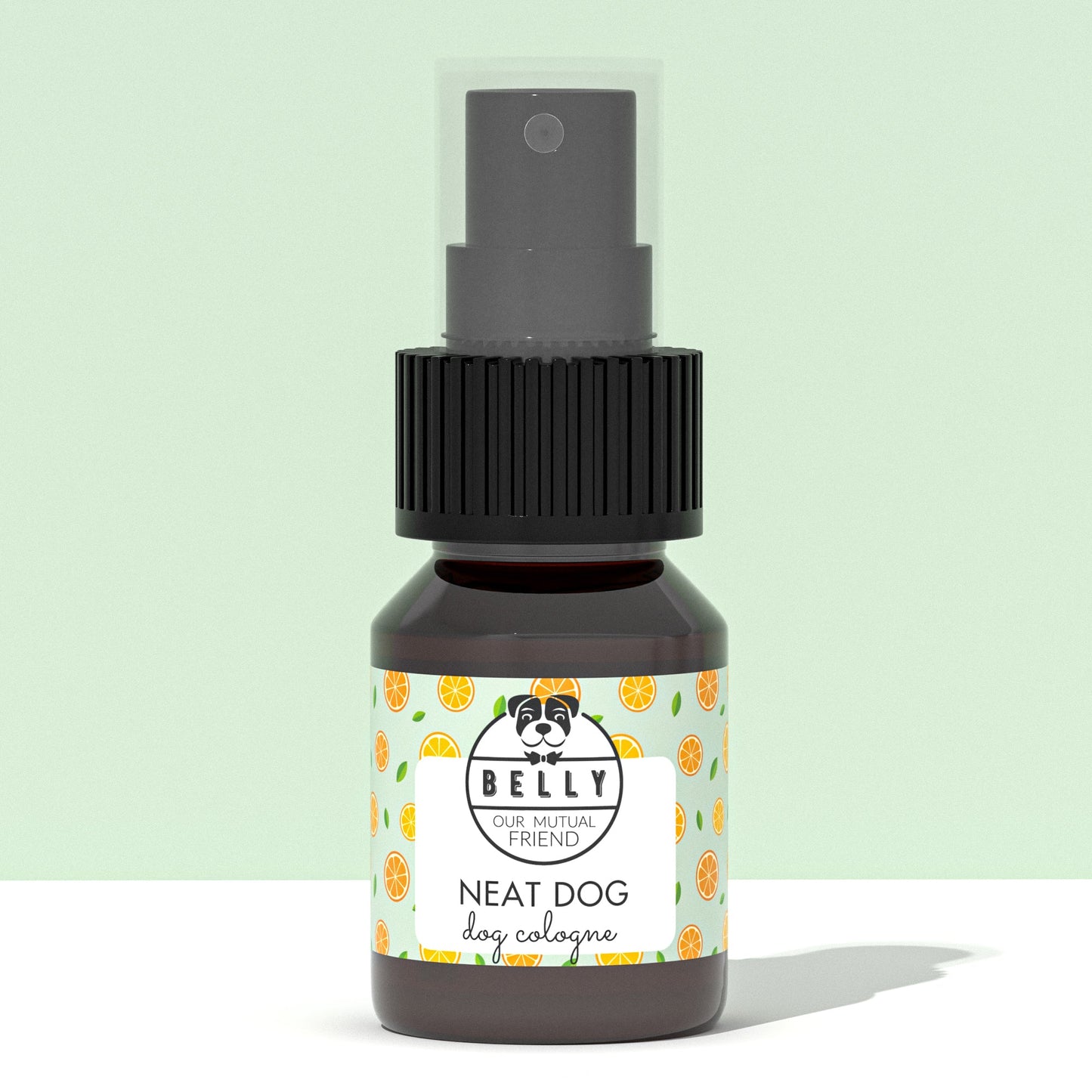 Mini Neat Dog Vanilla & Orange