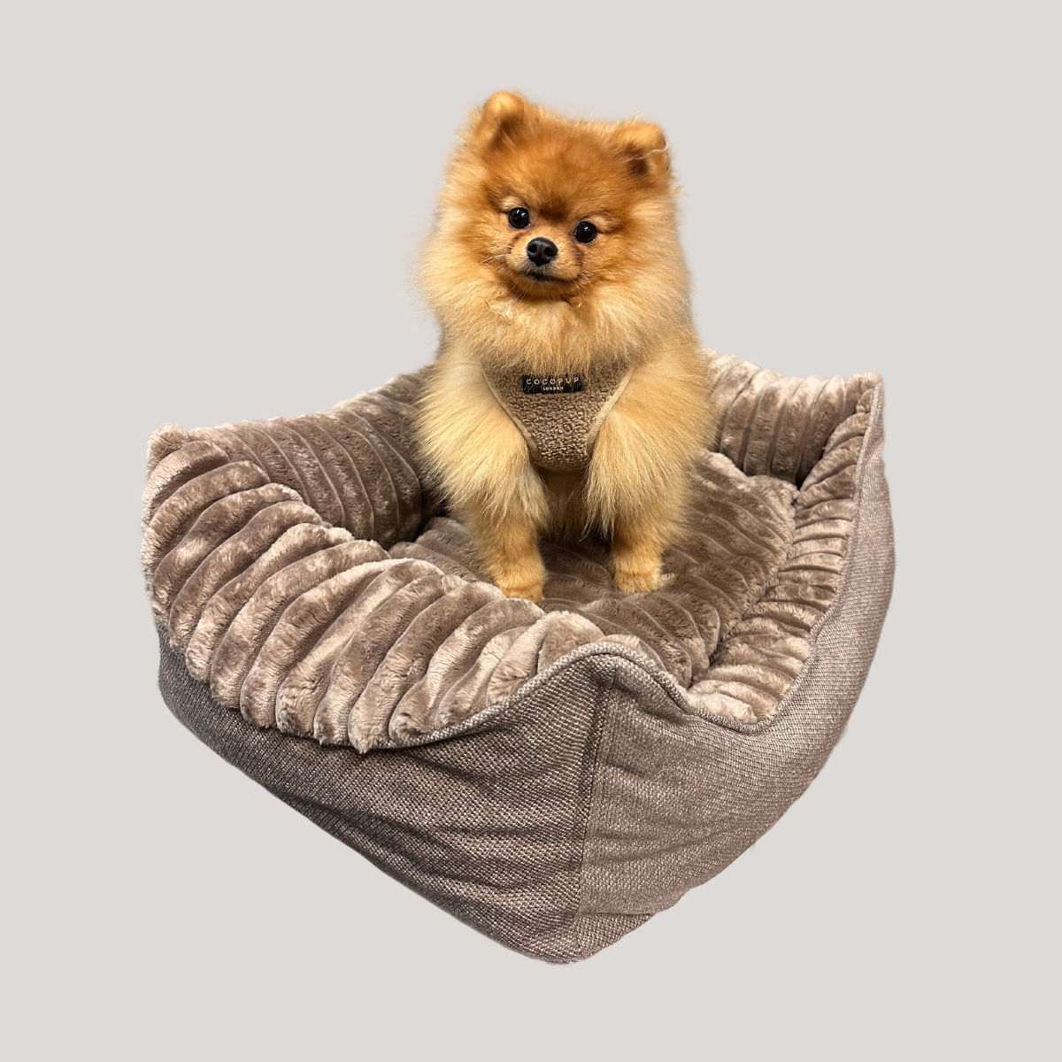 Caline dog bed - Douce line