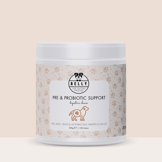 Pre & Probiotic Support Digestive Dog Chews