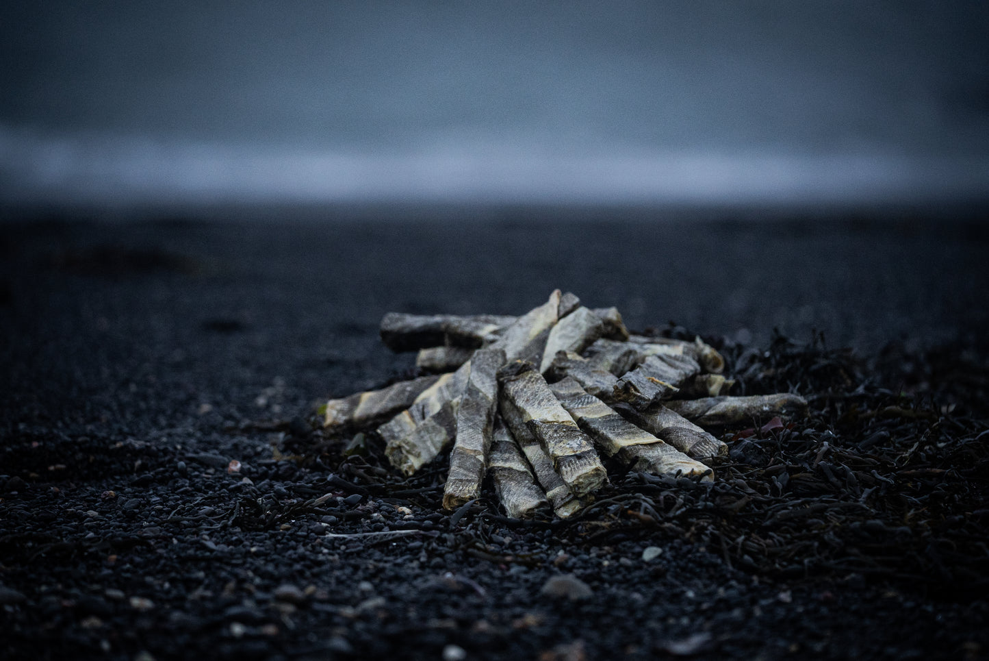 Cod skin dog chews in Iceland