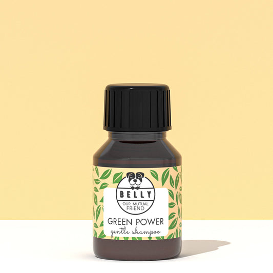 Mini Green Tea Shampoo